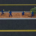 Roadside Landscape Maintenance With Workers Planting Bushes And Trees Along Curb