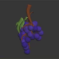 Fresh Ripe Purple Grapes With Green Leaves And Brown Vine On Dark Background