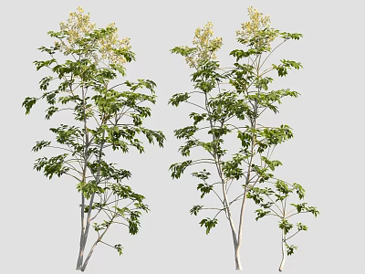 Two Trees With Green Leaves And White Flowers Natural Appearance Design 3d model