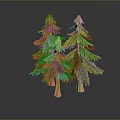 Realistic Two Green Pine Trees With Brown Trunks On Dark Background