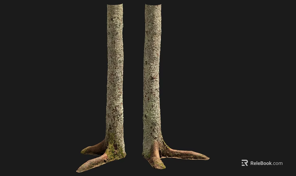 Stone Textured Wooden Tree Trunks With Root Systems And Bark Details 3d model
