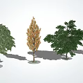 modern tree landscape tree arbor 3d model