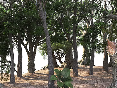 Modern Trees 3d model Modern Trees 3d model