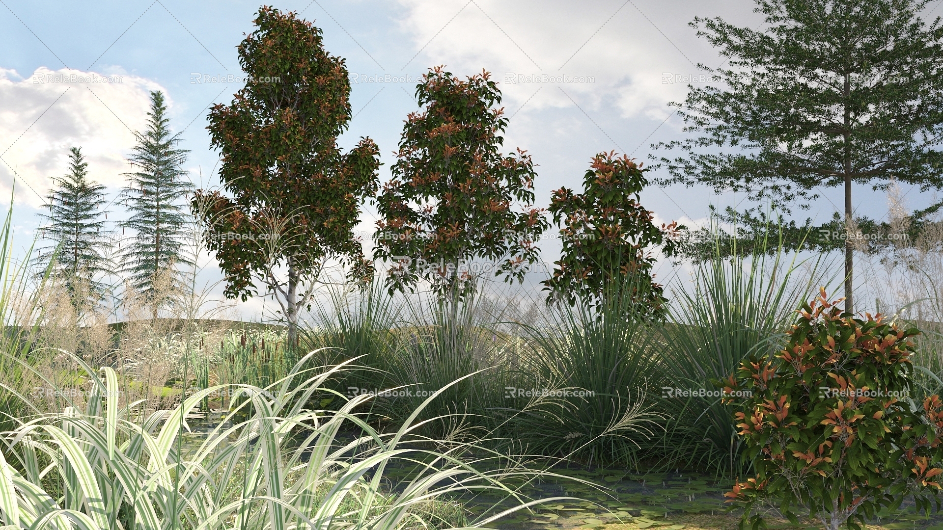 Modern Tree Plants 3d model