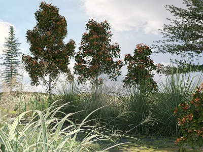 Healthy Arbor Trees Growing In Natural Garden With Tall Grasses And Pine Trees 3d model
