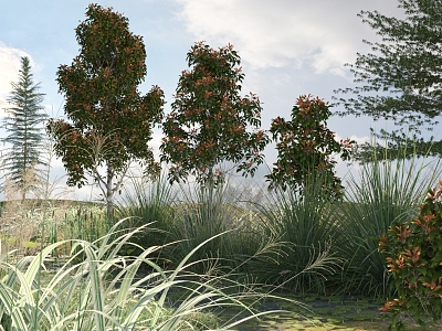 Modern Tree Plants 3d model