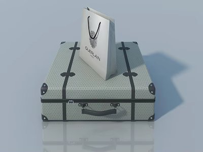 Sleek Swing Door Trunk With ORDINAIRE Shopping Bag Placed On Top 3d model
