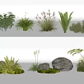 Various Types of Green Plants and Flowers with Natural Stones for Garden Decoration