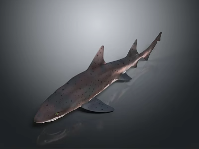 Realistic Detailed Brown Spotted Shark with Fins and Tail on Gray Background 3d model