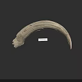 Ancient Curved Ivory Fragment With Natural Texture And Display Label 3d model