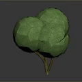 Decorative Green Plant with Two Round Canopies and Brown Trunk Isolated on Gray Background