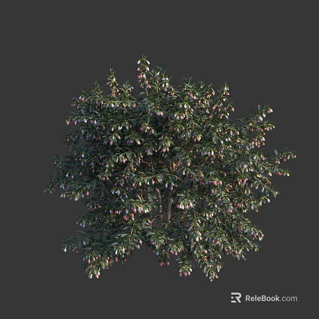 Vibrant Shrub With Lush Green Foliage And Small Colorful Berries 3d model 
