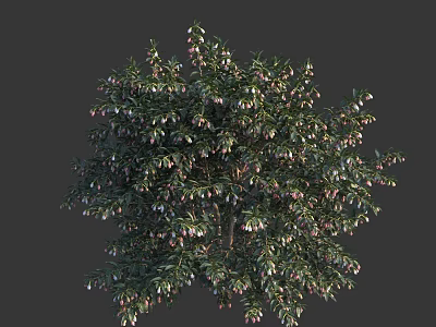 Vibrant Shrub With Lush Green Foliage And Small Colorful Berries 3d model