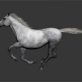 White Horse Running on Dark Background with Dynamic Posture and Detailed Fur