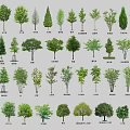 Diverse Plant Combinations With Various Tree Species For Landscaping Projects 3d model