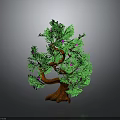 Ornamental Green Tree With Lush Green Leaves Brown Trunk And Pink Small Flowers