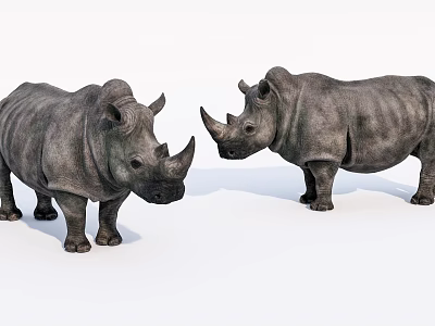 Two Realistic Reptiles With Detailed Skin Texture Standing On White Background 3d model