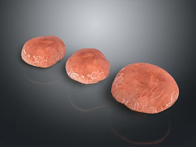 Three Red Round Textured Food Items Placed On Dark Background 3d model Three Red Round Textured Food Items Placed On Dark Background 3d model