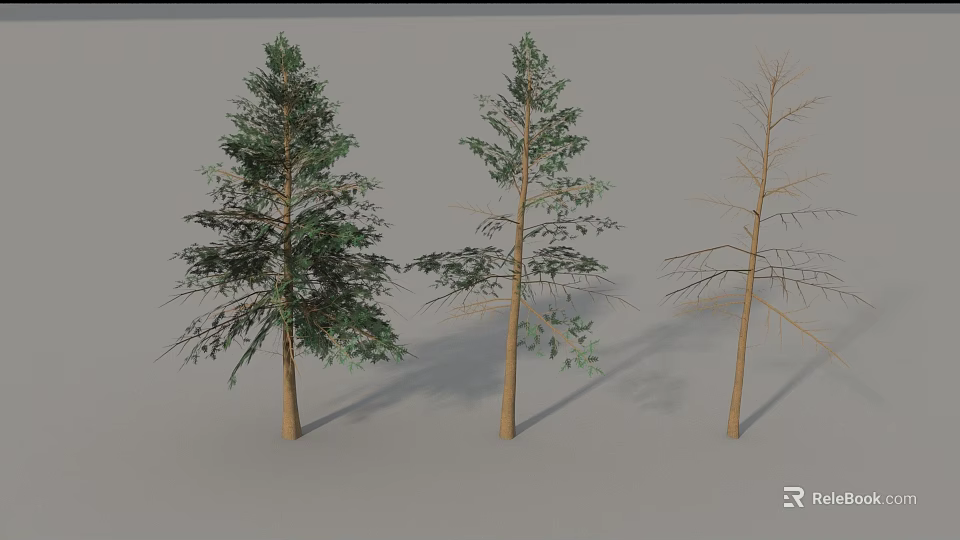 Three Arbor Trees with Lush Green Leaves Sparse Foliage and Bare Branches 3d model