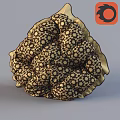 Cream Colored Polka Dot Decorative Cushion With Quilted Design And Brown Trim