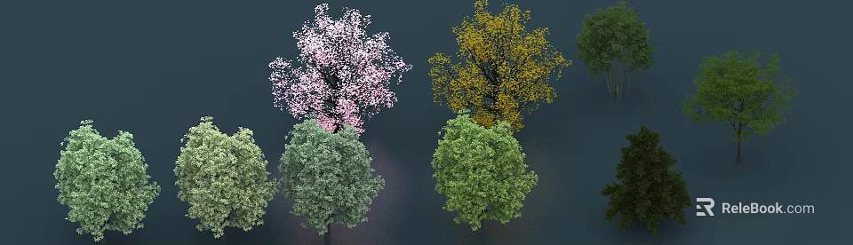 Various Colored Arbor Trees Displaying Pink Blossoms Yellow And Green Foliage 3d model 