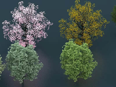 Various Colored Arbor Trees Displaying Pink Blossoms Yellow And Green Foliage 3d model