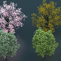 Various Colored Arbor Trees Displaying Pink Blossoms Yellow And Green Foliage