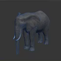 Detailed Realistic 3D Elephant Model Standing Isolated On Dark Background