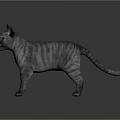 Realistic Grey Striped Cat With Blue Eyes Standing Against Grey Background