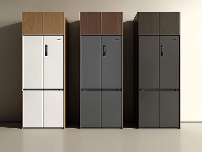 Modern Double Door Fridge Freezers With Various Color And Cabinet Styles 3d model