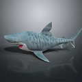 Realistic 3D Model of Gray White Patterned Shark With Open Mouth and Sharp Teeth