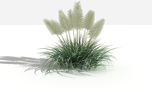 modern grass reed 3d model