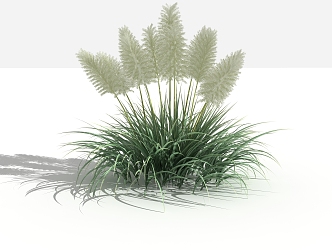 modern grass reed 3d model