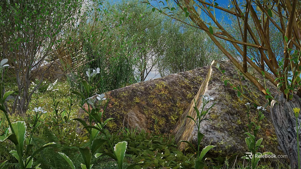 Tall Trees Surrounded By Mossy Rocks Green Plants And White Flowers Under Blue Sky 3d model 