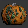 Decorative Orange Pumpkin With Green Spots Bumpy Texture And White Stem