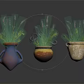 Lavender And Herb Plants In Decorative Planters With Various Styles For Home Decor