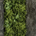 Indoor Green Wall Design With Diverse Plants And Dark Stone Slab Background