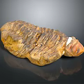 Rustic Wood And Stone Decorative Piece With Natural Brown Yellow Texture And Surface Details