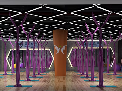 Modern Aerial Yoga Studio With Purple Hammocks Yoga Mats And Geometric Lighting 3d model