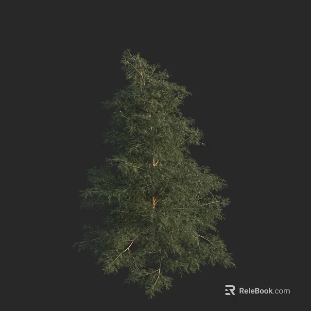 Tall Arbor Tree Featuring Dense Green Foliage And Straight Brown Trunk 3d model 
