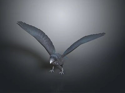 Dark Feathered Bird Spreading Wings Over Gray Background With Visible Claws 3d model