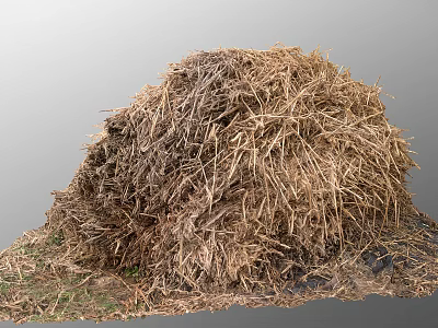 Big Pile Of Dry Hay Making A Haystack On Ground 3d model