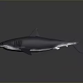 Grey Shark 3D Render On Dark Background With Streamlined Body And Sharp Teeth