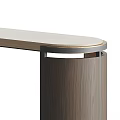 Modern Console Table Interior Design With Wooden Top And Metal Frame 3d model