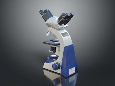 Binocular Laboratory Microscope With Blue White Body And Adjustable Stage For Scientific Research 3d model