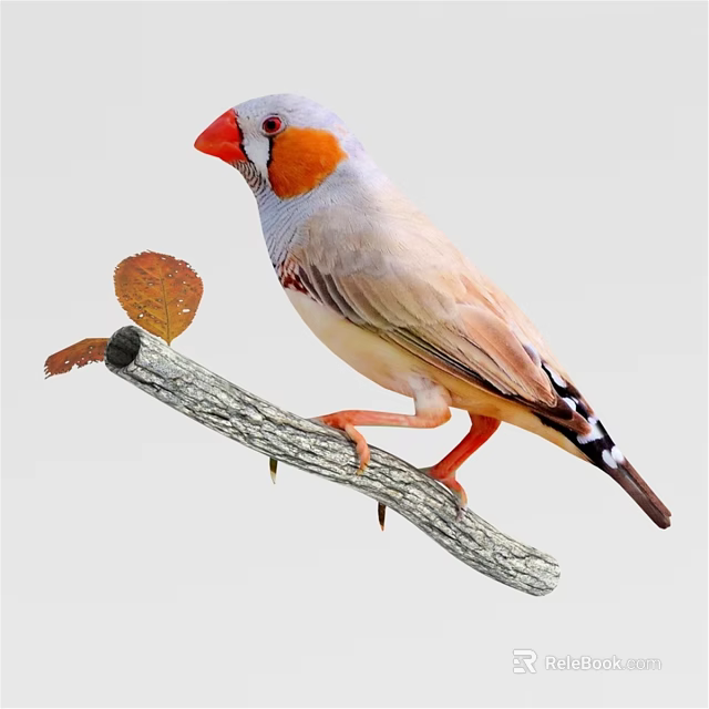 Vibrant Orange Headed Reptile Perching On Tree Branch With Dry Leaf 3d model 