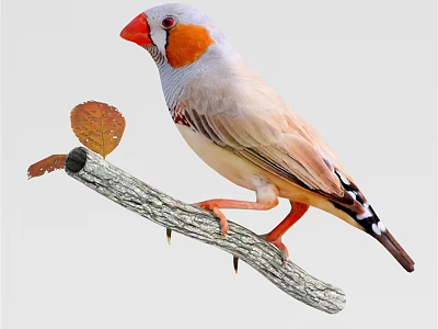Vibrant Orange Headed Reptile Perching On Tree Branch With Dry Leaf 3d model