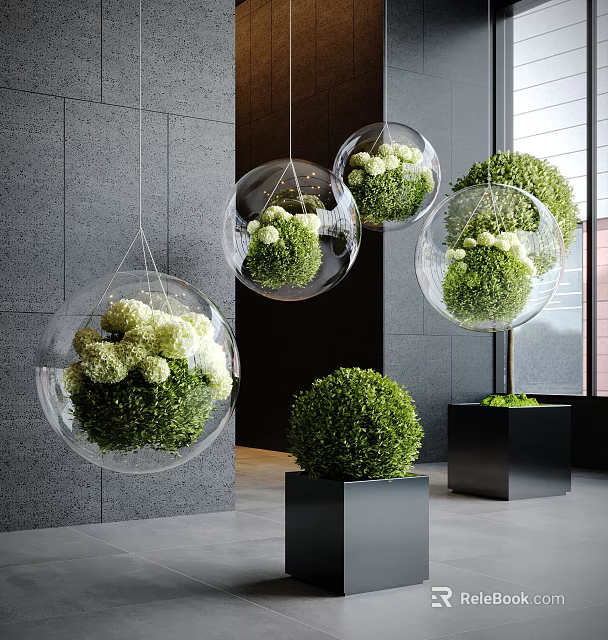 Modern Indoor Landscape Interior With Transparent Spherical Hanging Planters Green Plants And White Flowers 3d model 
