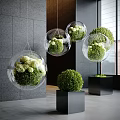 Modern Indoor Landscape Interior With Transparent Spherical Hanging Planters Green Plants And White Flowers