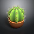 Healthy Green Spherical Cactus Plant with Sharp Thorns in Brown Ceramic Pot